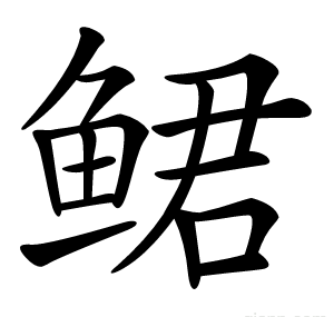 鲪